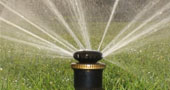 Plan the irrigation system