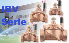 IBV-Series