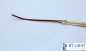 Preview: LED Band Anschlussstecker 2pol, 15cm, Anschluss für LED COB Streifen
